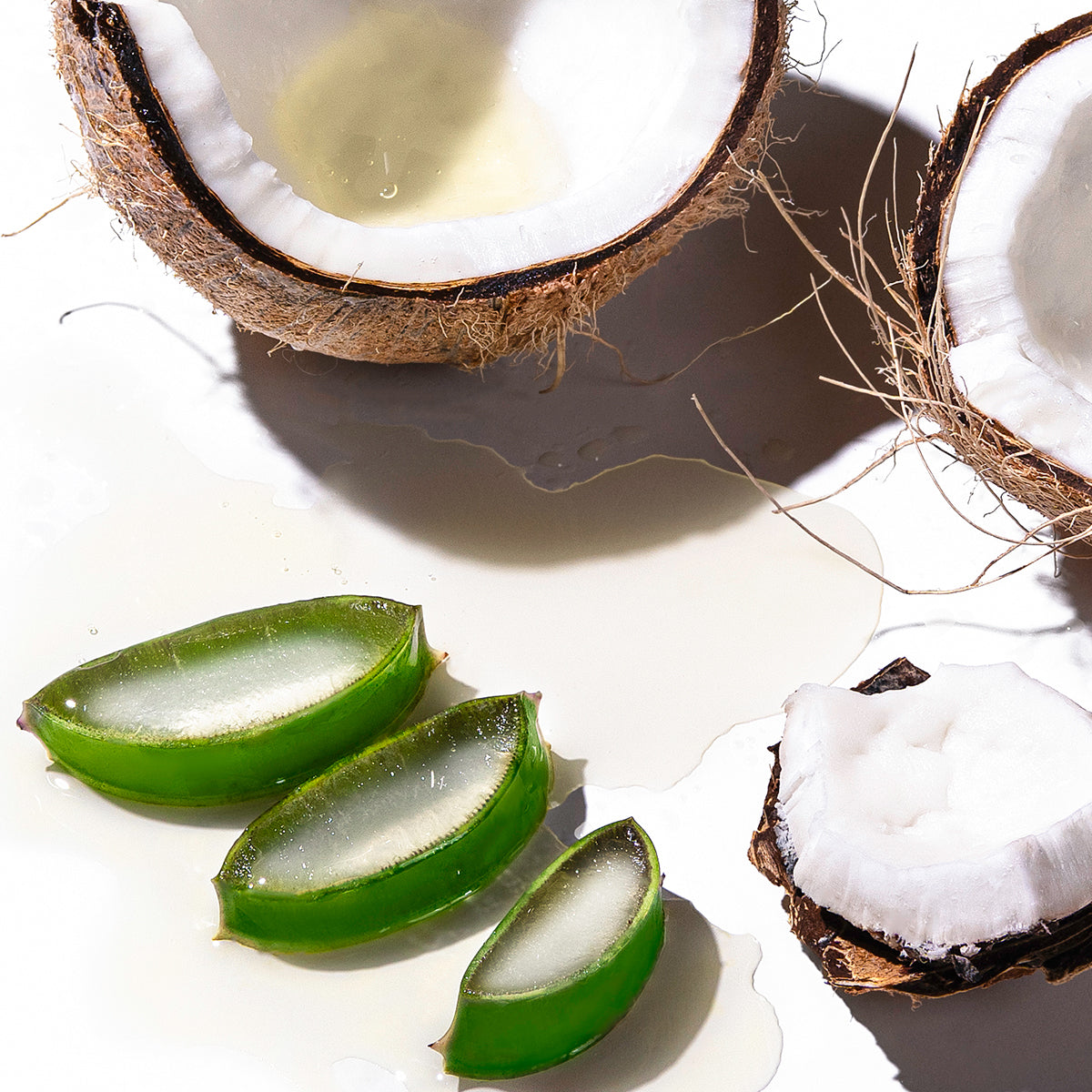 Aloe vera coconut Boldify