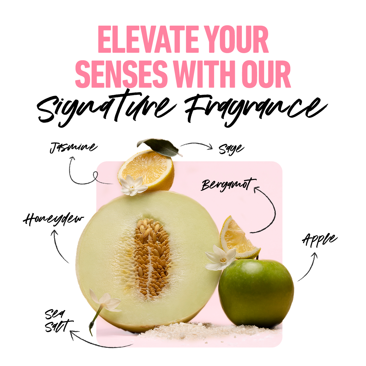 Signature Fragrance Boldify